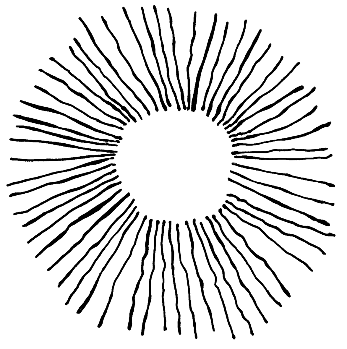 Sunburst 1